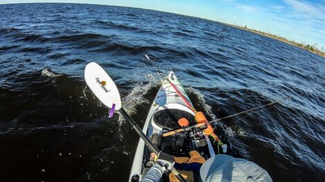 Alan Howell Profish Reload Review 4